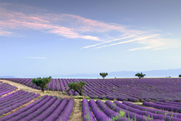 Provence