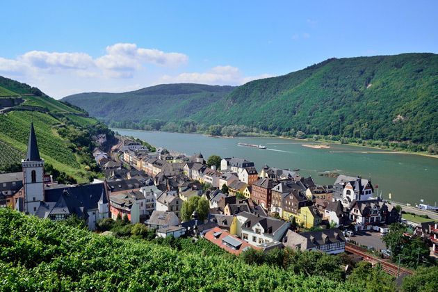 Rhine