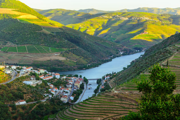 Douro river cruise