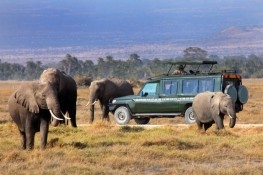 collette tours africa reviews